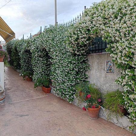 Bed And Breakfast Angolo Fiorito チビタベッキア エクステリア 写真