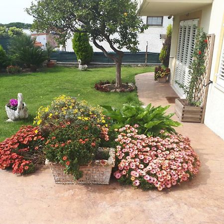 Bed And Breakfast Angolo Fiorito チビタベッキア エクステリア 写真